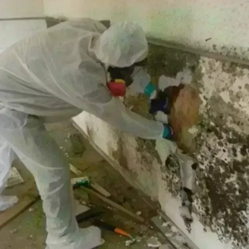 Mold Remediation and Removal in Helena Valley Northwest, MT